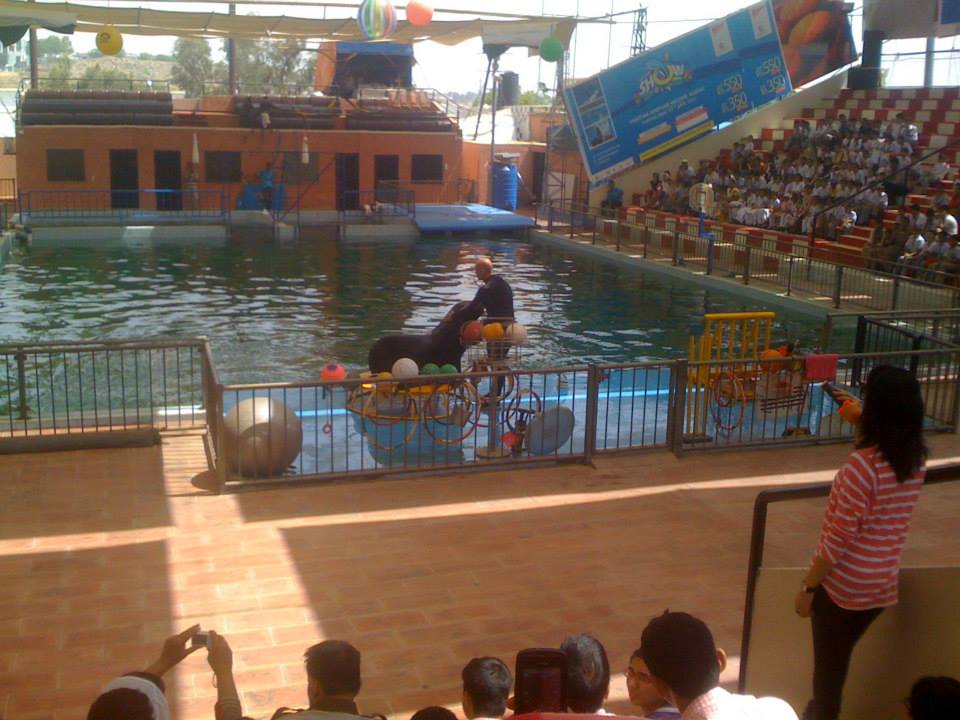 Vocational 4